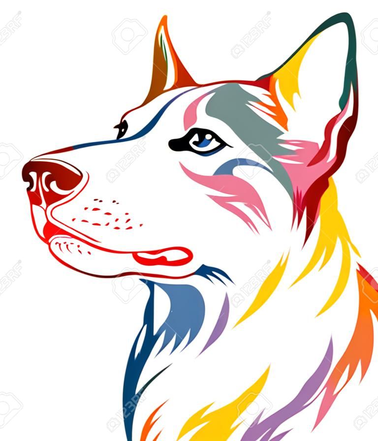 Contour décoratif coloré portrait de chien Beauceron regardant de profil, illustration en différentes couleurs isolé sur fond blanc. Image pour la conception et le tatouage.