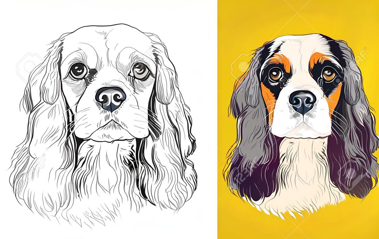Realistic head of Cavalier King Charles Spaniel dog. Vector black and white and colorful isolated illustration of dog. For decoration, coloring book, design, prints, posters, postcards, stickers, tattoo, t-shirt