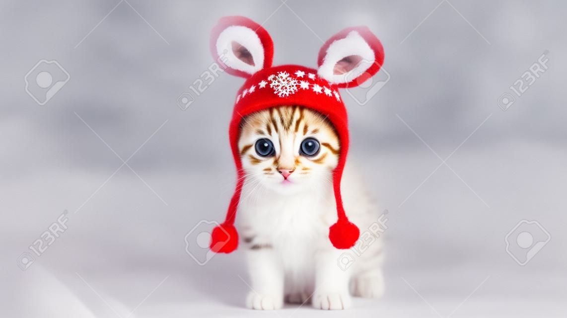 A heartwarming picture depicting a kitten adorned in a reindeer outfit. AI-Generated images