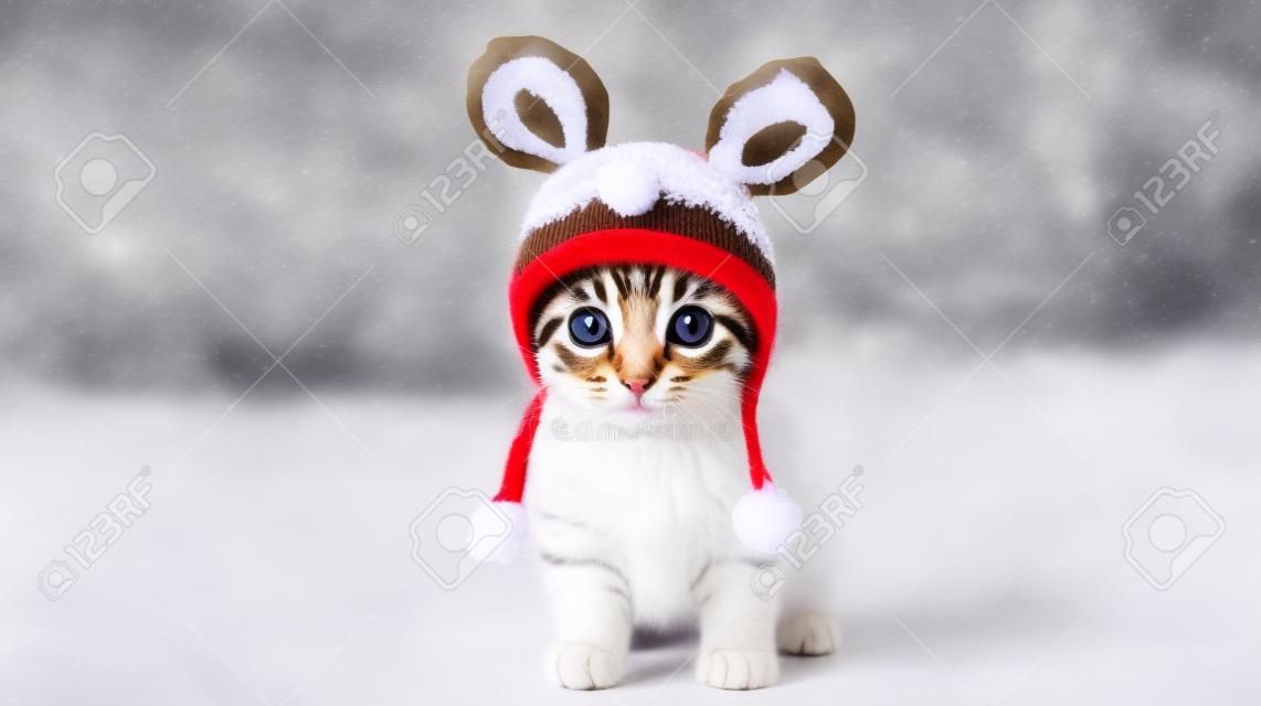 A heartwarming picture depicting a kitten adorned in a reindeer outfit. AI-Generated images
