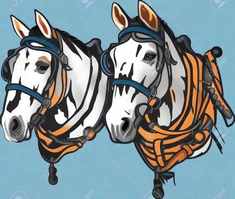 Draft Horses Illustration