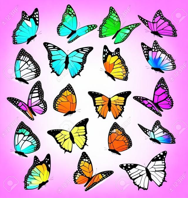 Duży zbiór kolorowych motyli. Wektor