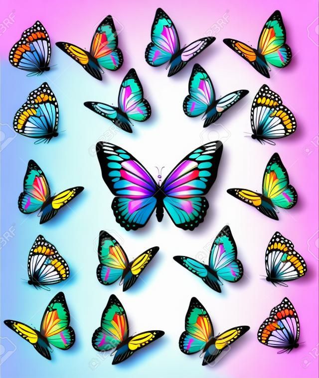 Set van verschillende kleurrijke vlinders. Vector.