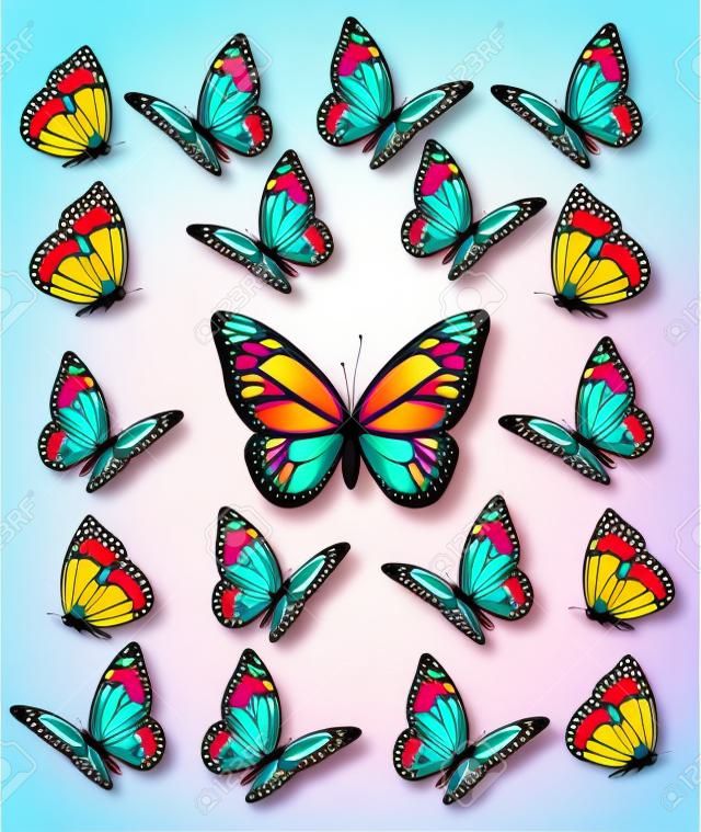 Set aus verschiedenen bunten Schmetterlingen. Vector.