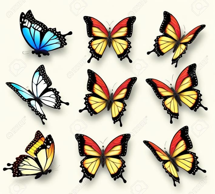 Kolekcja kolorowych motyli, latające w różnych kierunkach.