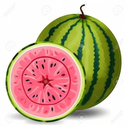 Vers geheel en half watermeloen fruit geïsoleerd op witte achtergrond. Zomervruchten voor een gezonde levensstijl. Biologisch fruit. Cartoon stijl.