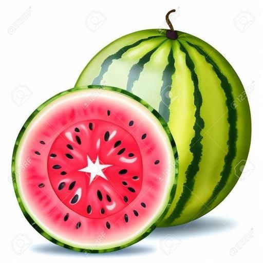 Fresh whole and half watermelon fruit isolated on white background. Summer fruits for healthy lifestyle. Organic fruit. Cartoon style.