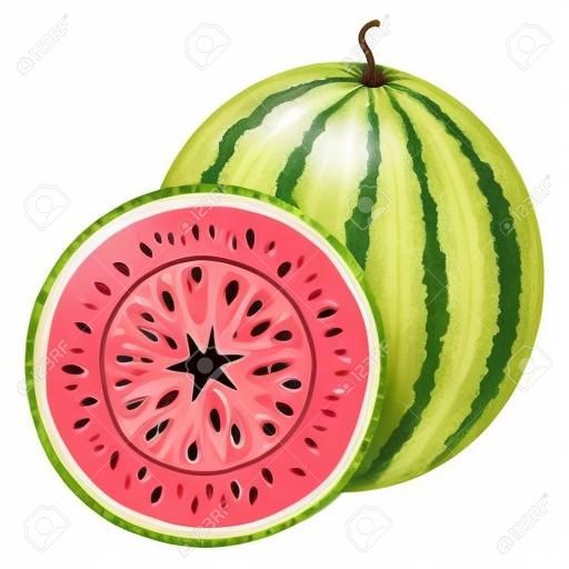 Fresh whole and half watermelon fruit isolated on white background. Summer fruits for healthy lifestyle. Organic fruit. Cartoon style.