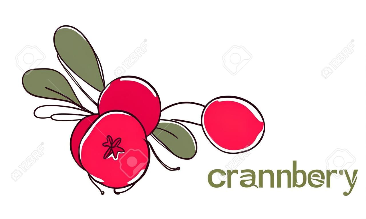 Cranberry, cowberry simple color vector illustration. One continuous line art drawing with lettering organic cranberry