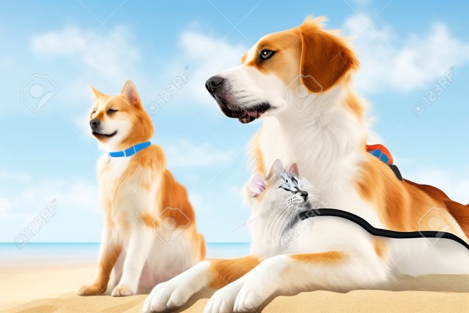 Salva-vidas de cães e gatos fazendo uma pausa em uma praia ensolarada criada com IA generativa