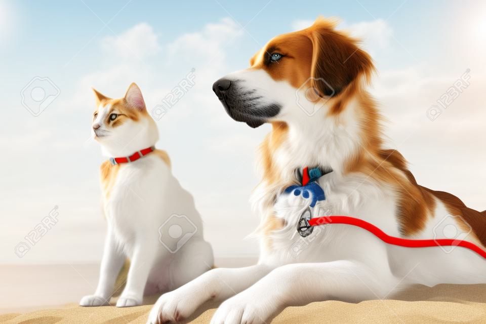 Salva-vidas de cães e gatos fazendo uma pausa em uma praia ensolarada criada com IA generativa