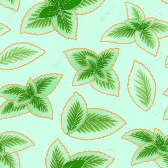 Menthe plante graphique couleur transparente motif de fond illustration vectorielle
