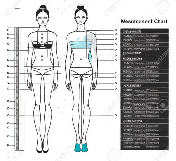 Nő test mérési diagram. Ruha emberi test mérésére ruhák varrására. Női alak: elülső és hátsó nézet. Sablon fogyókúrához, fitneszhez. Vektor.