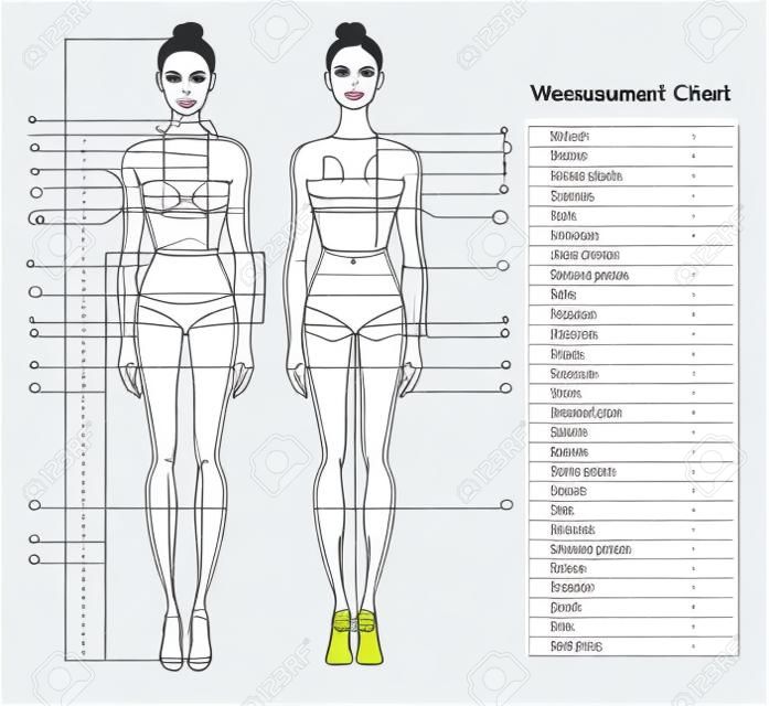 女人的身体测量图。人体缝纫衣服的测量方案。女性形象：正面和背面。节食，健身的模板。向量。