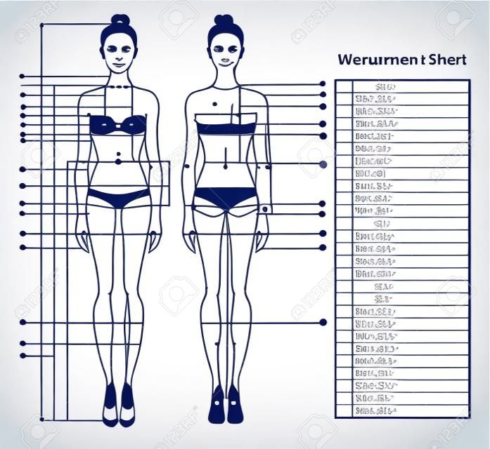 女性の体の測定グラフ。服を縫うための人体を測定するためのスキーム。女性の姿:前面と背面のビュー。ダイエット、フィットネスのためのテンプレート。ベクトル。