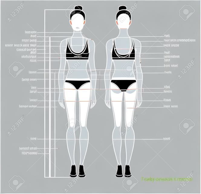 女性の体の測定グラフ。服を縫うための人体を測定するためのスキーム。女性の姿:前面と背面のビュー。ベクトル。