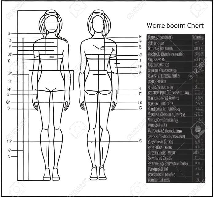 Диаграмма измерения тела женщины. Схема обмера человеческого тела для пошива одежды. Женская фигура: виды спереди и сзади. Шаблон для диеты, фитнеса. Вектор.