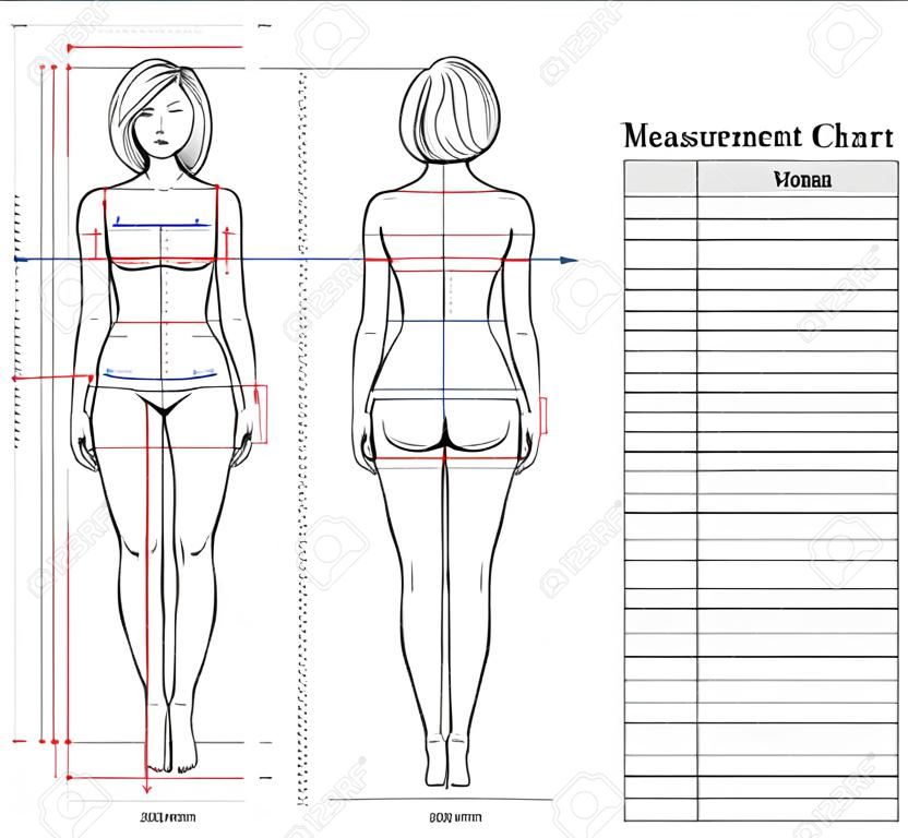 Tableau de mesure du corps de la femme. Schéma de mesure du corps humain pour coudre des vêtements. Figure féminine: vues avant et arrière. Modèle de régime, fitness. Vecteur.