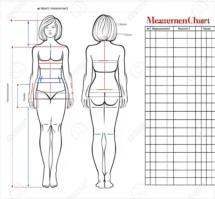女人的身體測量圖。人體縫紉衣服的測量方案。女性形象：正面和背面。節食，健身的模板。向量。