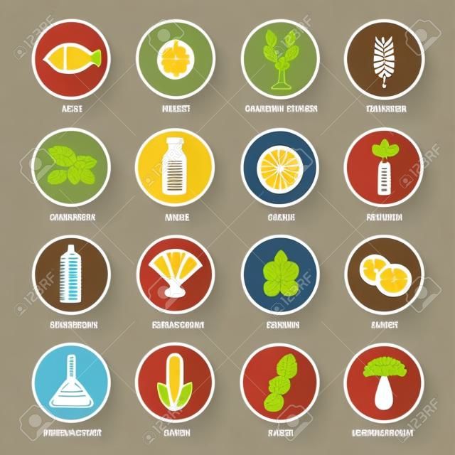 Allergen Vektor-Icons gesetzt. Nahrungsmittelallergene Symbole Embleme Zeichen Sammlung