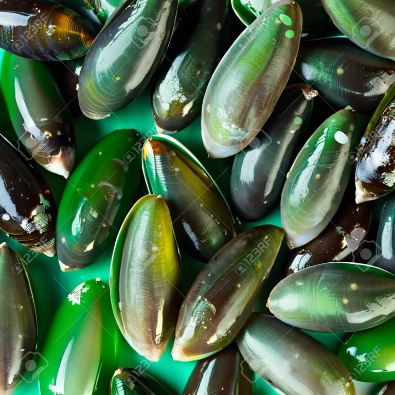 亞洲綠色貽貝被顯示和銷售在泰國街邊市場