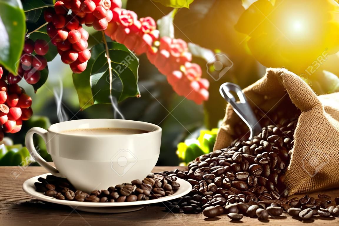Tasse Kaffee mit Rauch und Kaffeebohnen in Sack auf Kaffeebaum Hintergrund