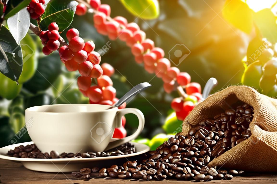Tazza di caffè con fumo e chicchi di caffè in sacco di iuta su sfondo pianta del caffè