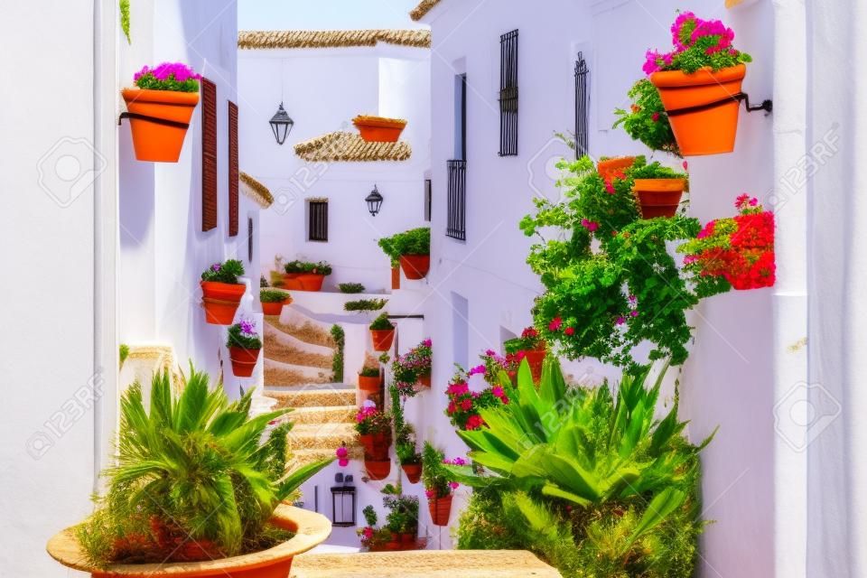 米哈斯的風景如畫的街道上，在外牆的花盆。安達盧西亞白村。太陽海岸。西班牙南部