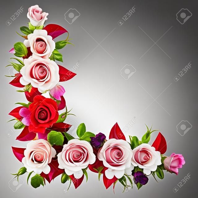 Beau bouquet de roses