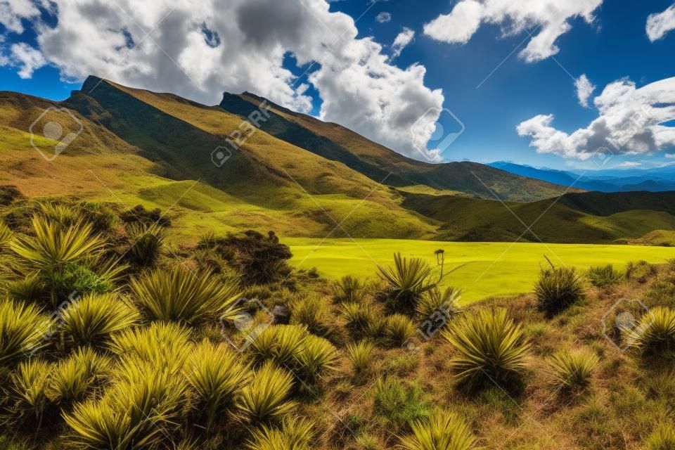 Bela paisagem de montanhas andinas colombianas mostrando vegetação tipo paramo no departamento de Cundinamarca