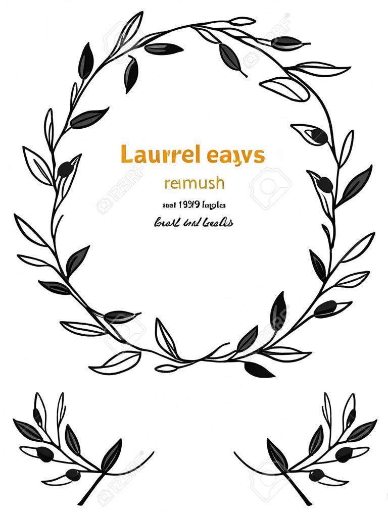 Laurel Bay Blätter, Äste und Früchte detaillierte handgezeichnete Schwarz-Weiß-Vektorillustration