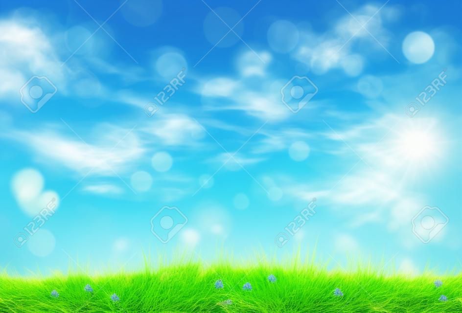 primavera de la hierba fresca con el cielo azul