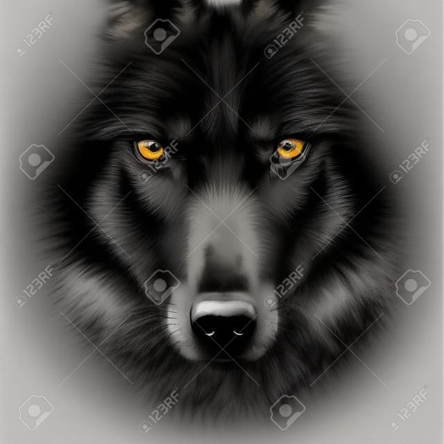 Dibujo a mano retrato de un lobo negro sobre un fondo negro