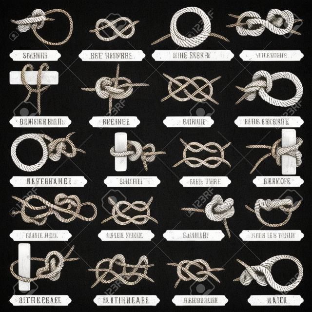 航海ロープの結び目のセットです。海洋の基本的な結び目。海軍および海洋の設計図。手にはロープの結び目が描画されます。ポスター、版画、ロゴのヴィンテージの要素。最もよく使われる航海ロープ結び目バンドル