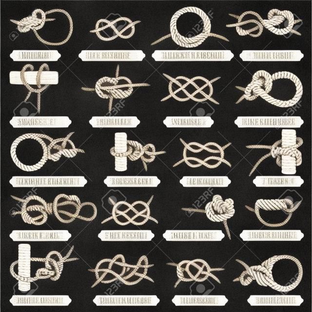 航海ロープの結び目のセットです。海洋の基本的な結び目。海軍および海洋の設計図。手にはロープの結び目が描画されます。ポスター、版画、ロゴのヴィンテージの要素。最もよく使われる航海ロープ結び目バンドル