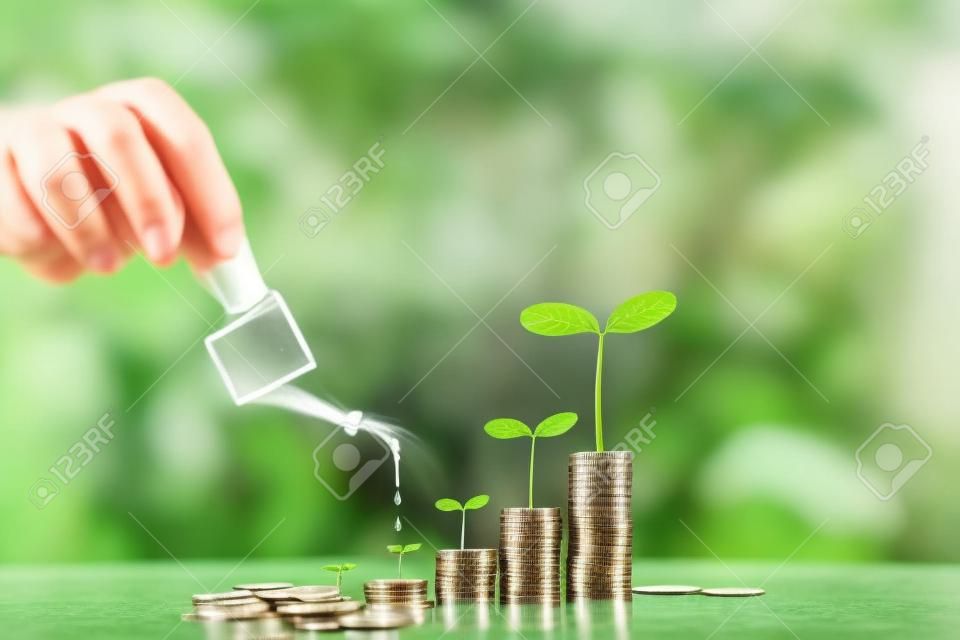 Faire pousser de l'argent, planter sur des pièces, financer des entreprises et économiser de l'argent concept d'investissement, l'homme d'affaires arrose les plantes sur des pièces empilées.