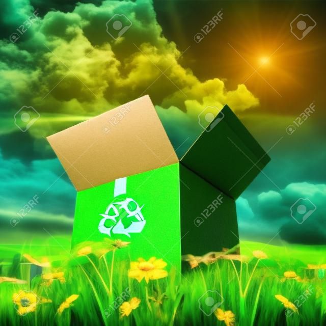 caja de cartón con signo de reciclaje en la hierba verde