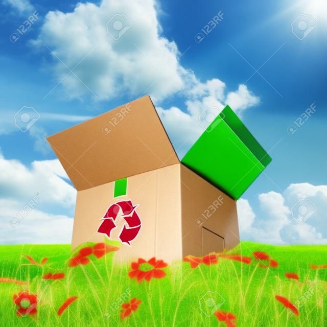 caja de cartón con signo de reciclaje en la hierba verde