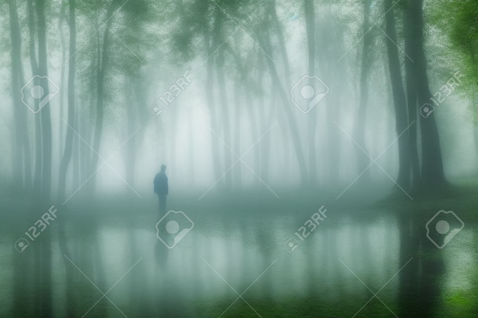 Mann in einem Wald mit Teich und Nebel nach regen