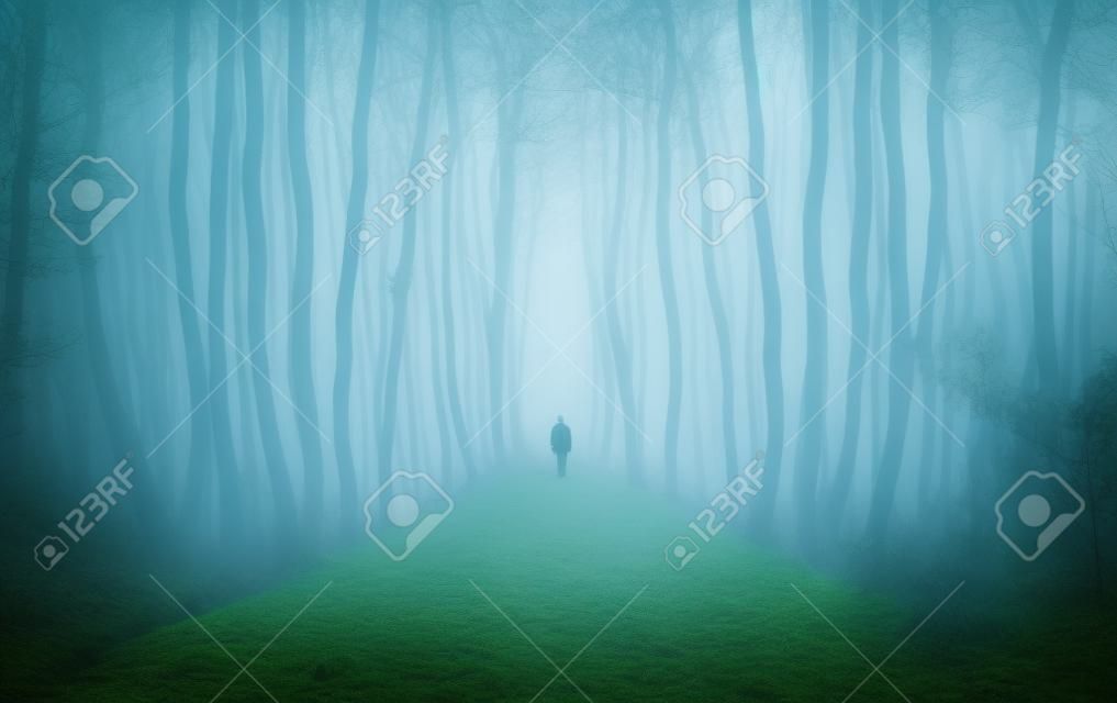 foresta di fantasia con un uomo a piedi attraverso la nebbia