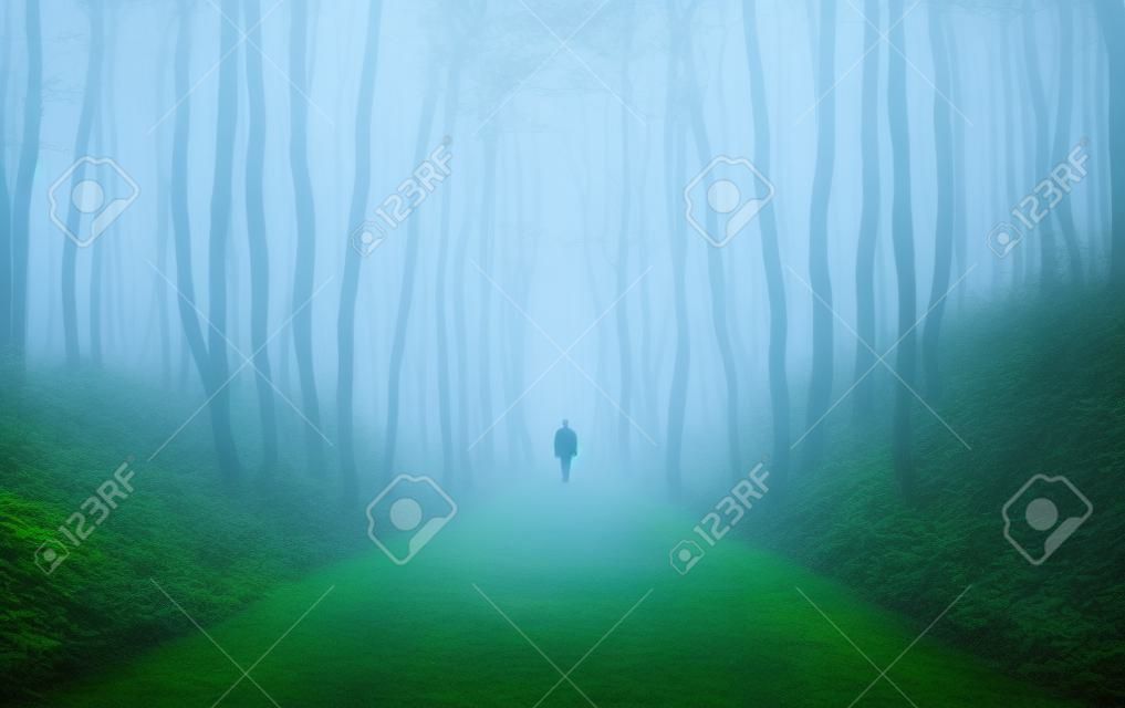 foresta di fantasia con un uomo a piedi attraverso la nebbia