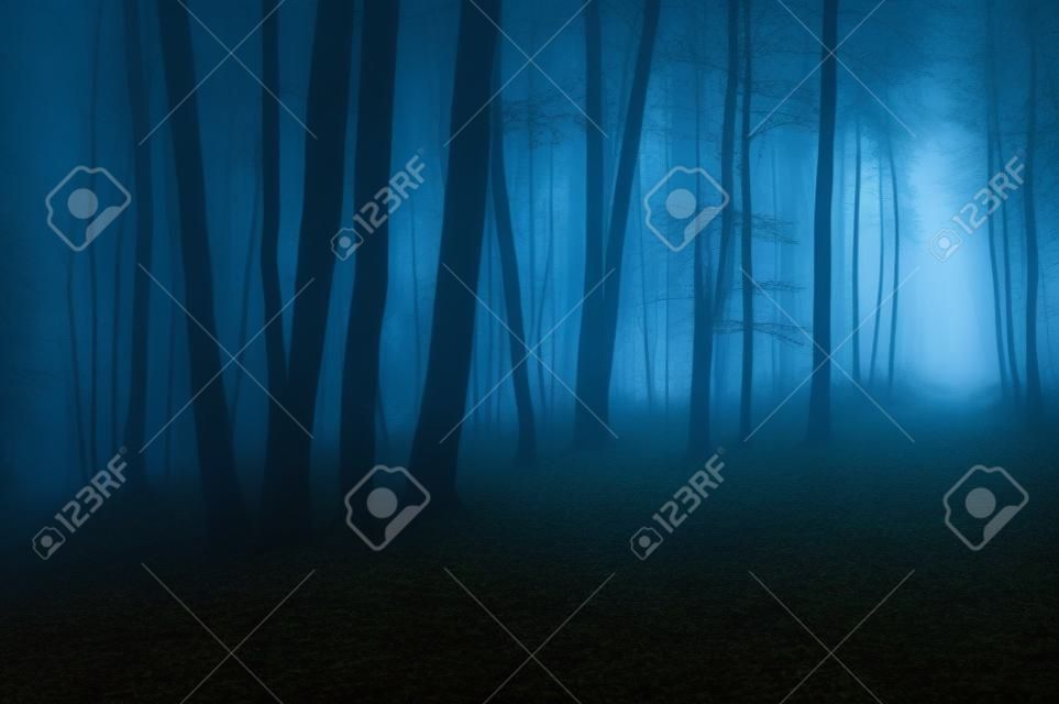 Dunkle unheimlich Wald mit Nebel in der Nacht