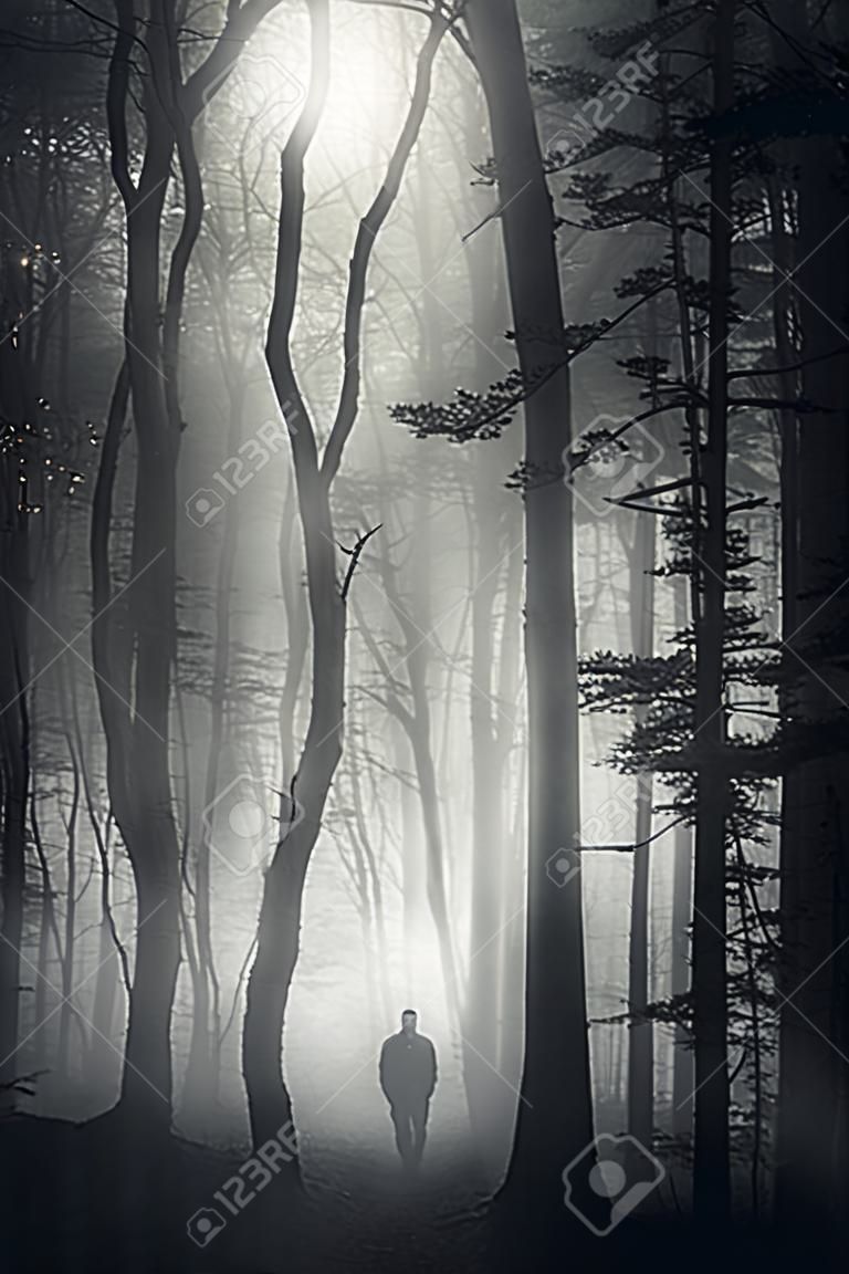 霧の濃いお化け屋敷林で男のシルエットの垂直写真