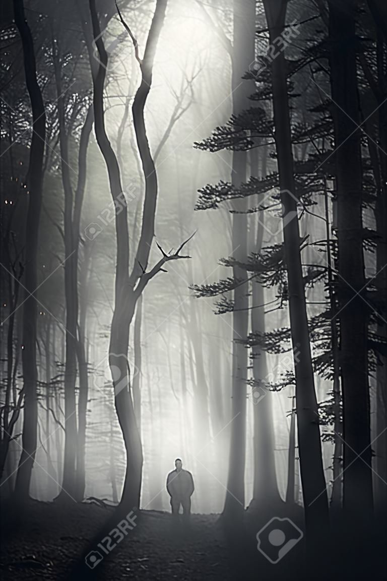 在黑暗中大霧縈繞的森林人的剪影垂直照片