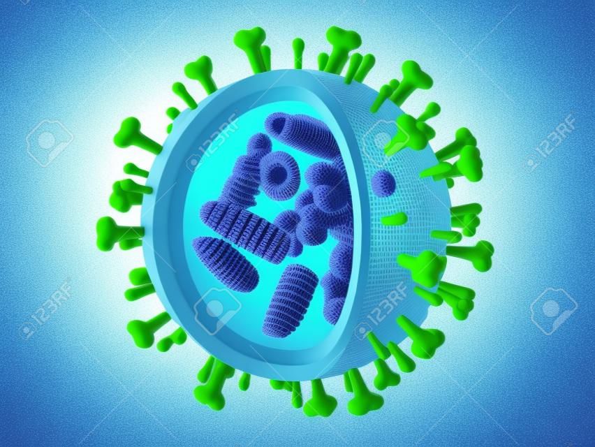 Influenza virus diagram. 3D illustration.