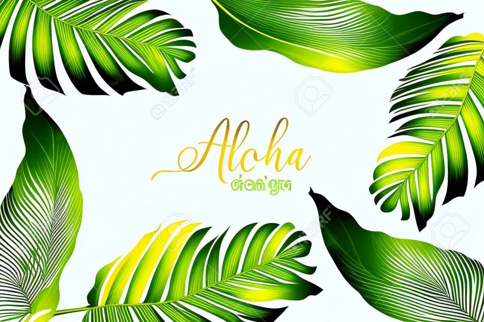 vector illustration. Green plants, exotic leaves, banana leaf, areca palm, botany, flora. Tropical frame, place for your text. White background isolated. wedding invitation or card design
