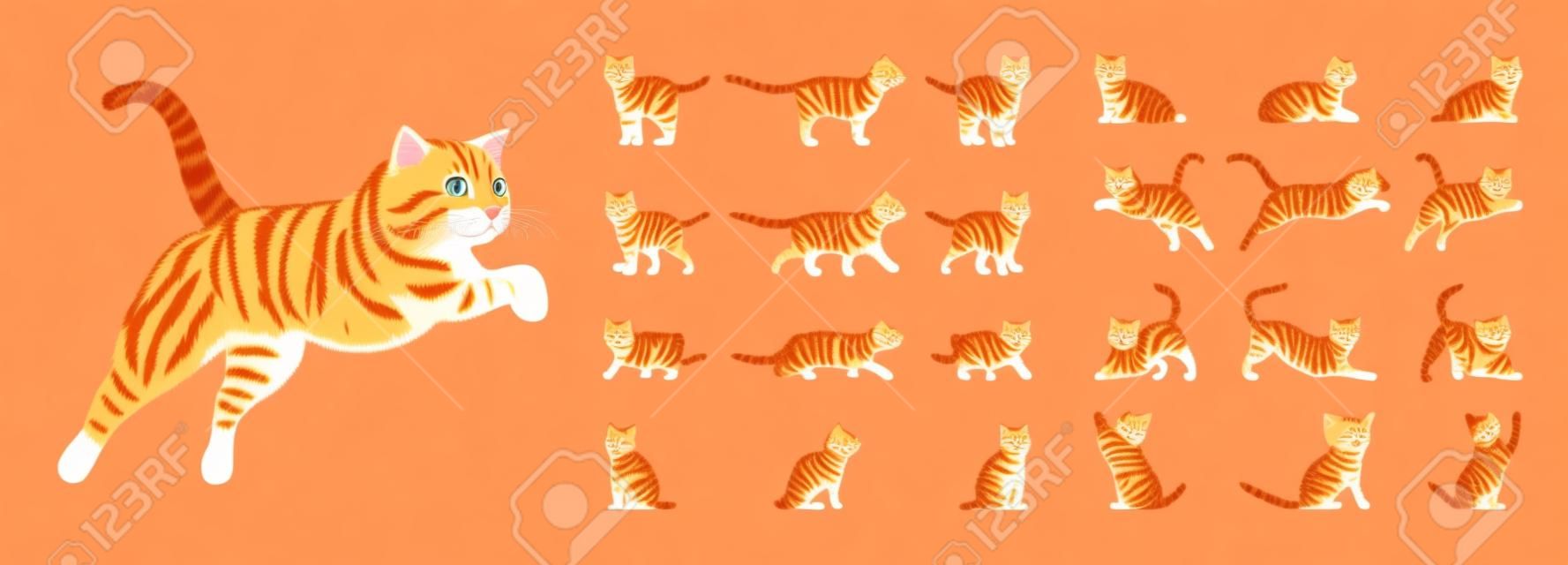 Ginger Tabby Cat set. Active healthy kitten with orange, red, and yellow-colored fur, cute funny pet. Vector flat style cartoon illustration isolated on white background, different views and poses