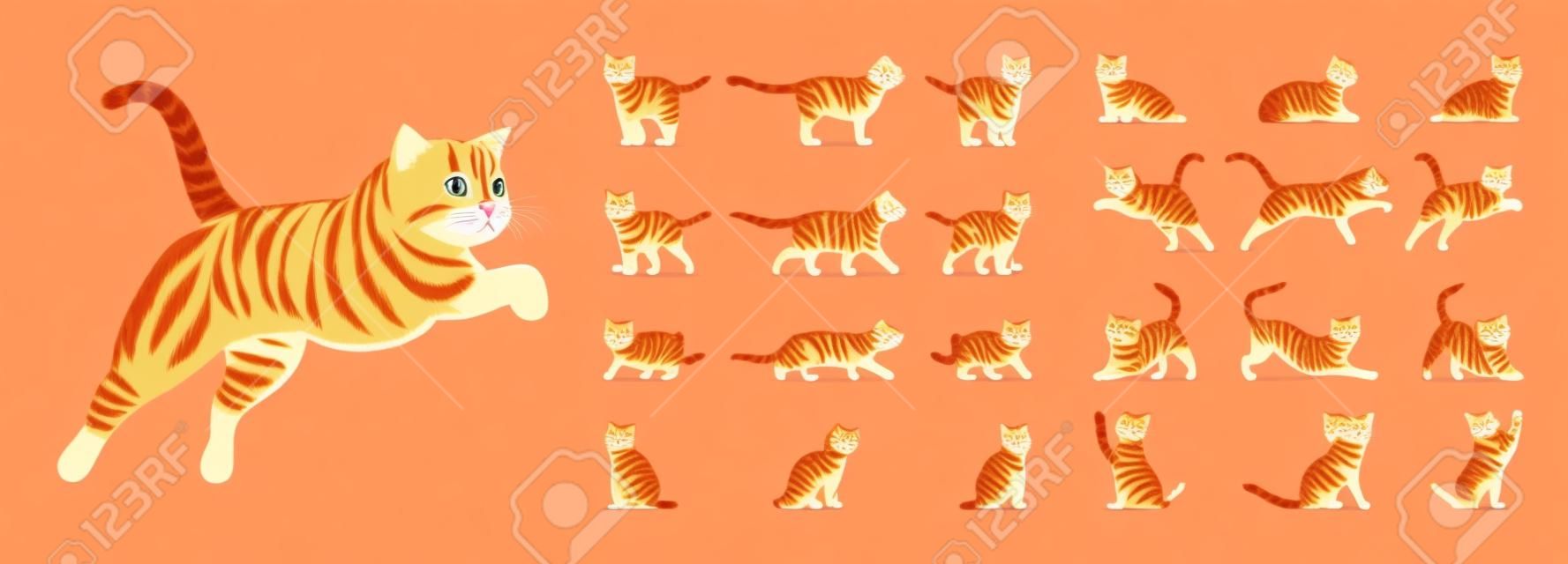 Gember Tabby Cat set. Actieve gezonde kitten met oranje, rood, en geel-gekleurde vacht, schattig grappig huisdier. Vector platte stijl cartoon illustratie geïsoleerd op witte achtergrond, verschillende uitzichten en poses
