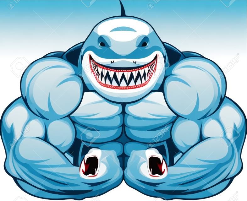 Vector illustration, toothy white shark
