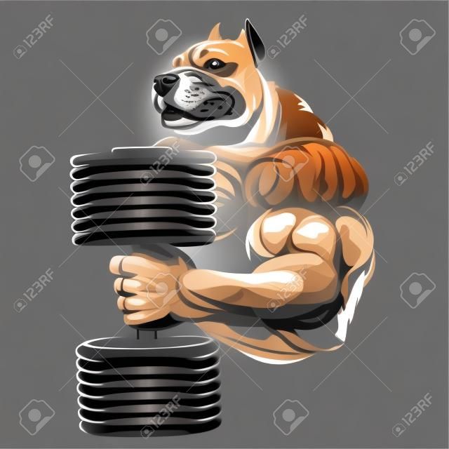 Ilustración del vector, perro fuerte haciendo ejercicio con pesas para bíceps